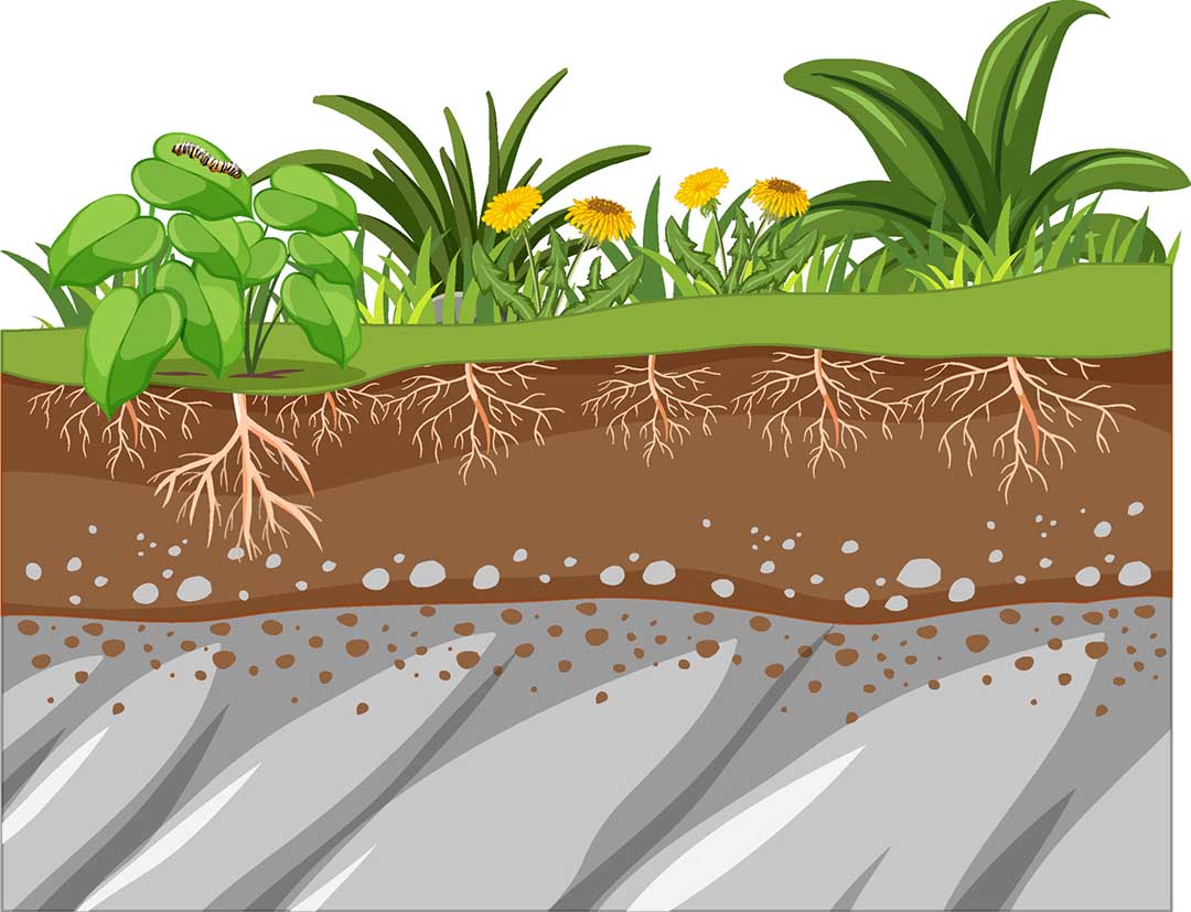 What if the ground beneath our schools is disappearing?